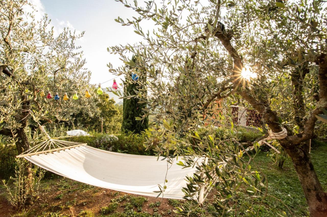 Casetta Di Butia, Appartamento Iris Lucca Eksteriør billede