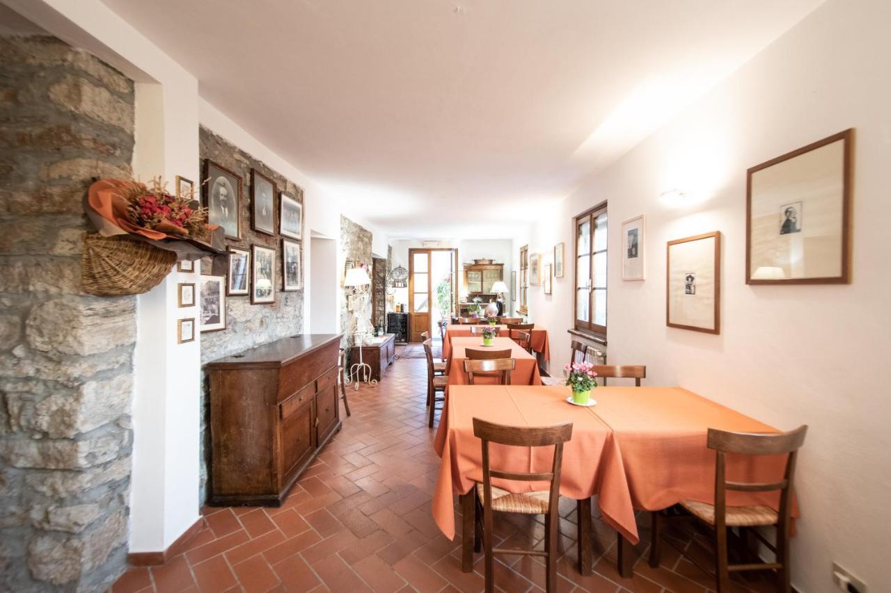 Casetta Di Butia, Appartamento Iris Lucca Eksteriør billede
